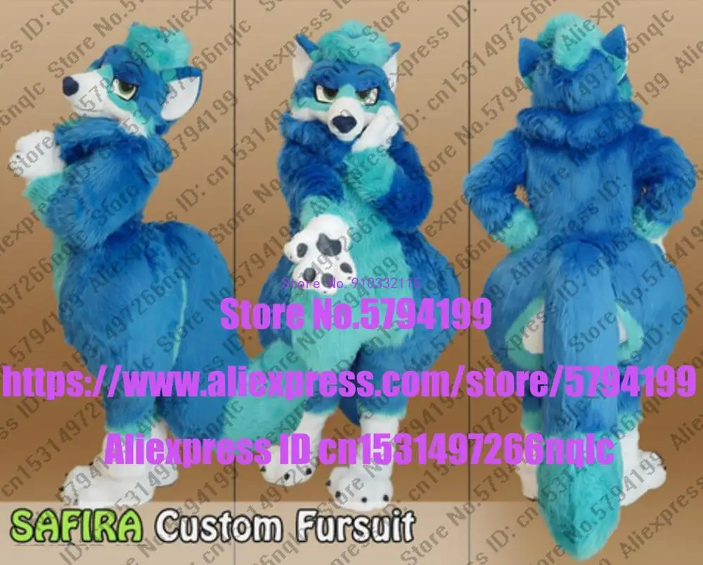 Индивидуальный доступный реальное фото Белый Кот полный комплект Хаски собака