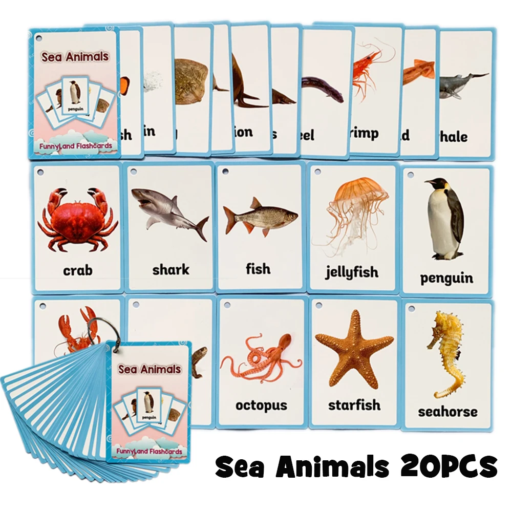 20 шт./компл. овощей фруктов и обучение английскому языку Обучающие слово карта