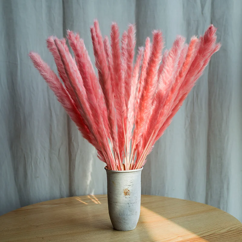 

30pcs Natural Dried Pampas Grass Reed Dried Flowers Natural Phragmites Communis Wedding Flower Bunch Home Decor