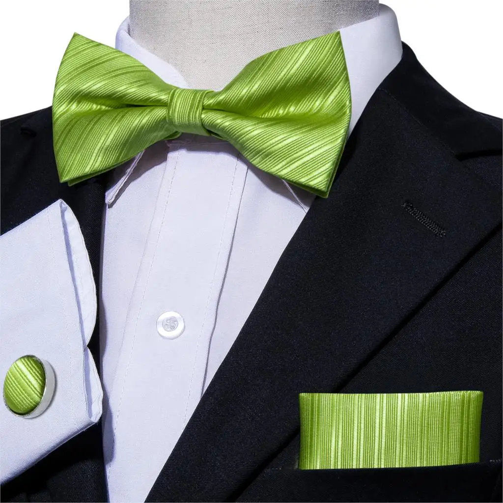 Мужской зеленый галстук бабочка Barry.Wang шелковый карамельных цветов набор