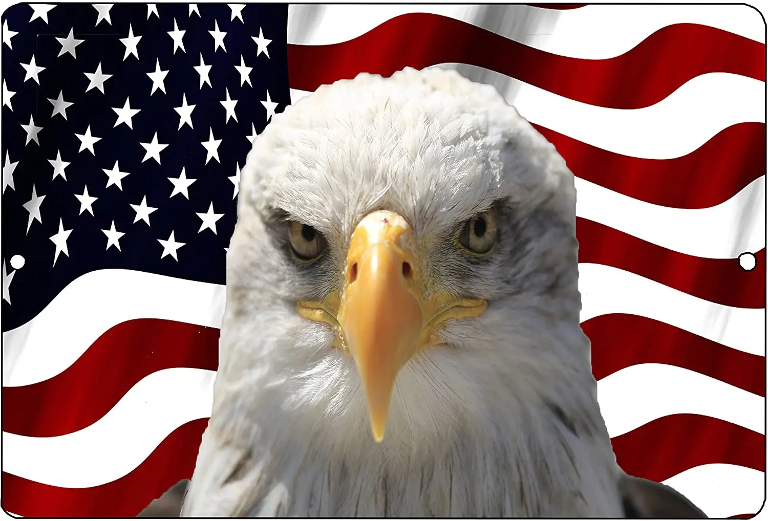 Rogue River Tactical USA mad Eagle флаг металлический жестяной логотип настенное украшение
