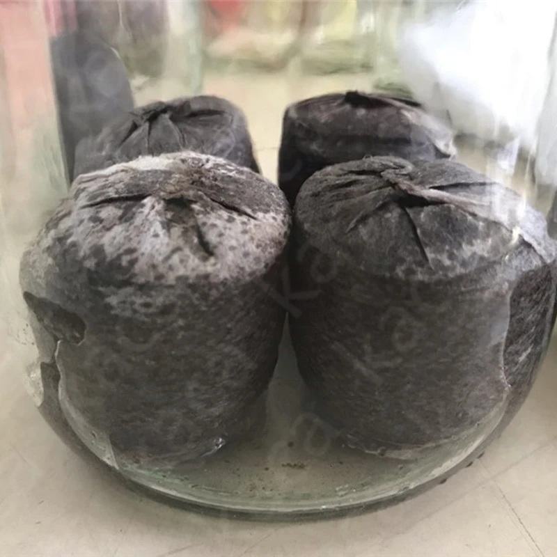 Питомник Peat гранулы Jiffy саженец стартовый блок почвы для дома вилки
