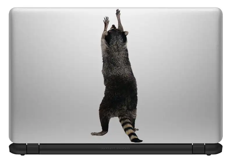 

2021 STICKER. Raccoon window sticker , animal decal, 3D sticker, funny sticker