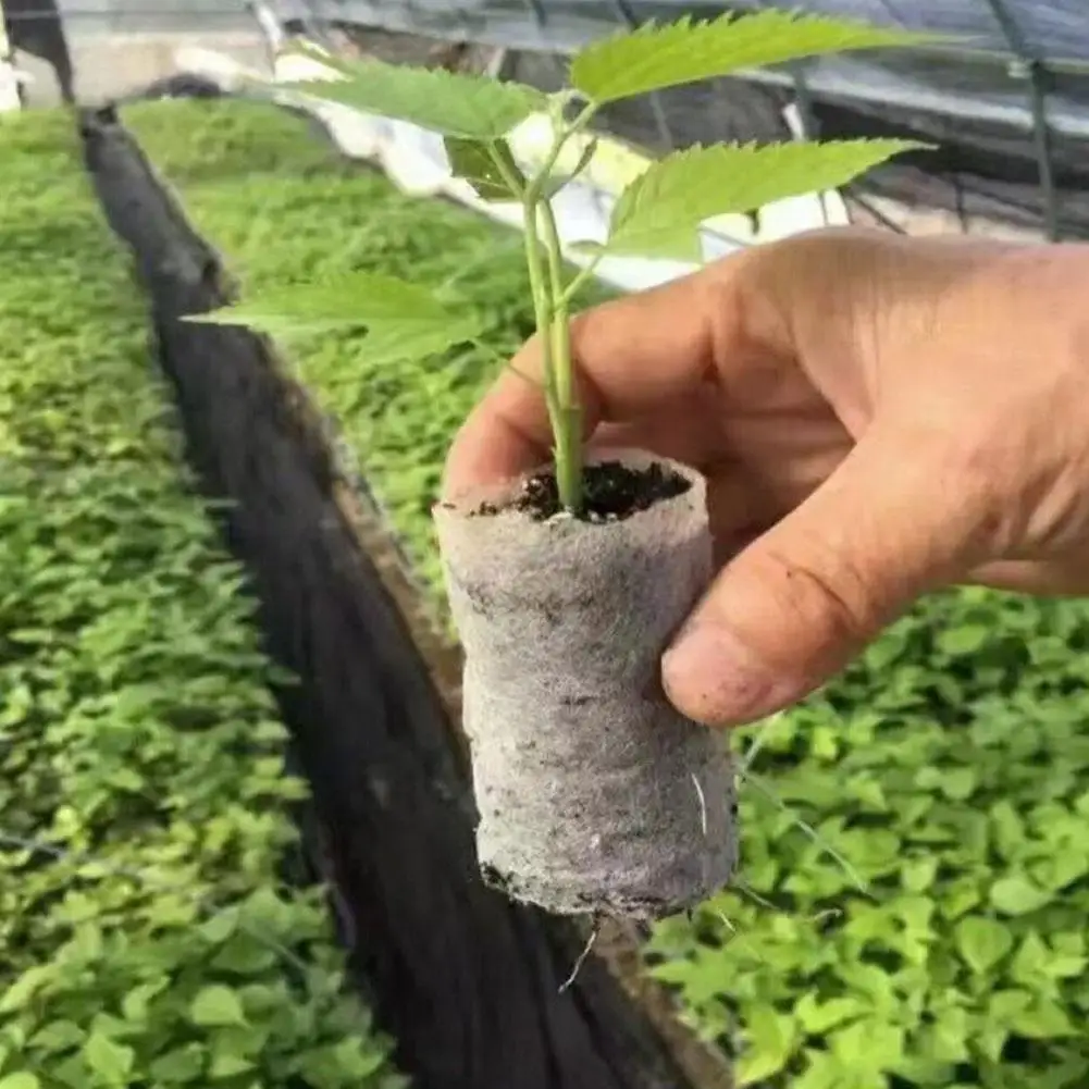 

Non-woven Seedling Bag Wholesale Nutrition Bowl Beauty Cup Bag Thickened Hot Planting Cup Selling Tree Container Custom See B9T4