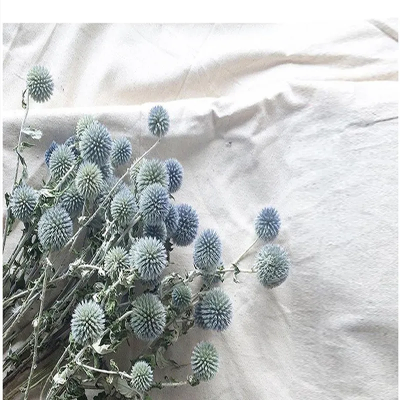 1 шт. натуральные сухие цветы для украшения дома | Дом и сад