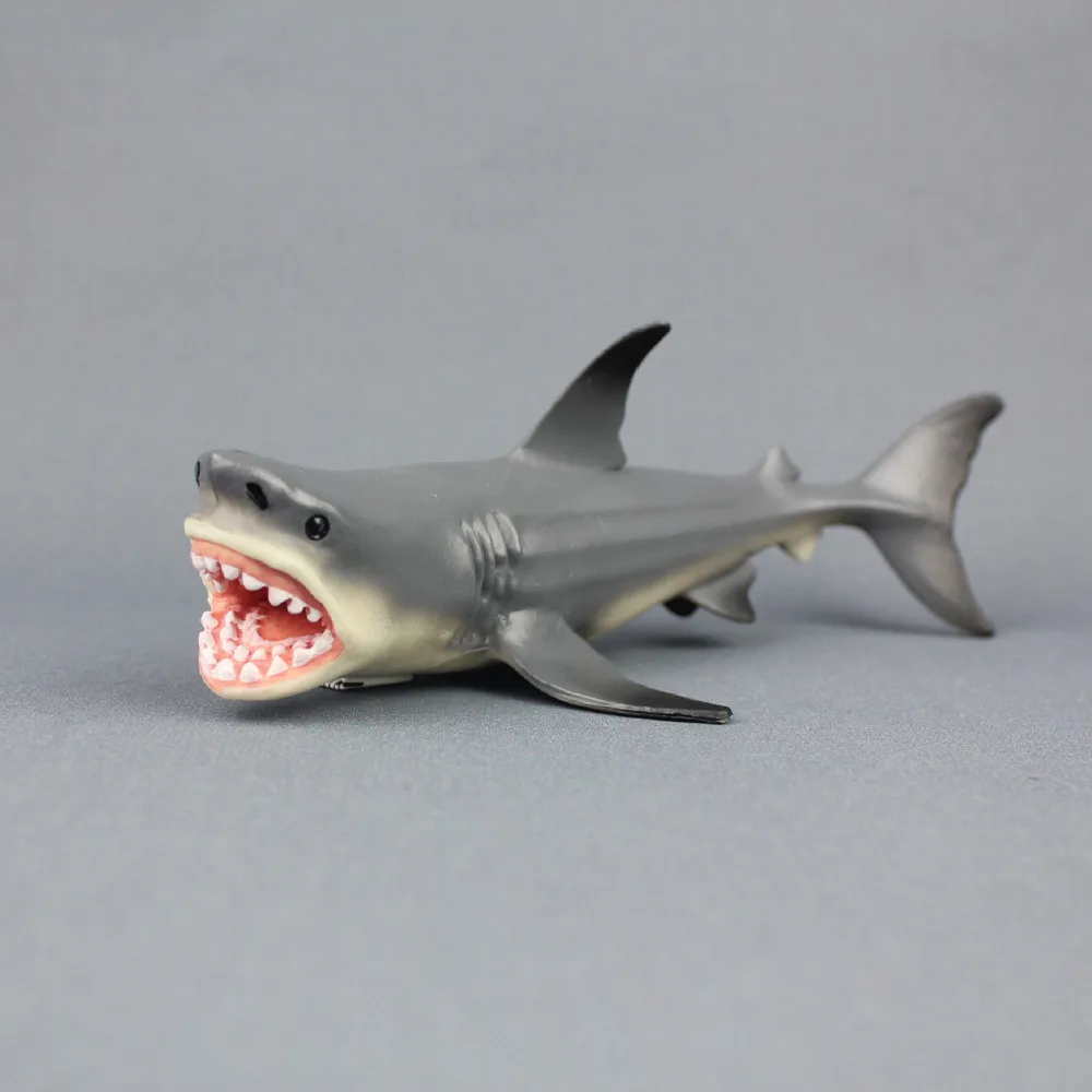Megalodon Доисторическое океаническое образование мультяшная фотография детская