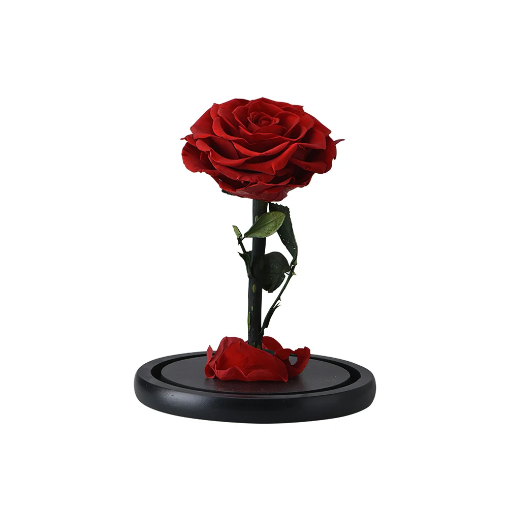

Hot Beauty And The Beast Red Rose Flower In Glass Dome Wooden Base For Decorate Valentine's Day Gifts Christmas LED Rose Lamps