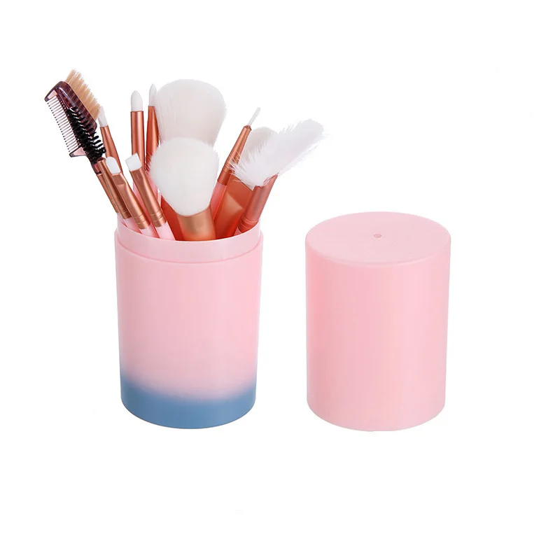 Два кольца в одном 12 шт./набор кисти для макияжа Набор Синий Розовый цвет