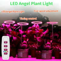 angel ring plant light for succulent timming switch usb full spectrum led phyto lamp sunshine indoor flower growth seedling