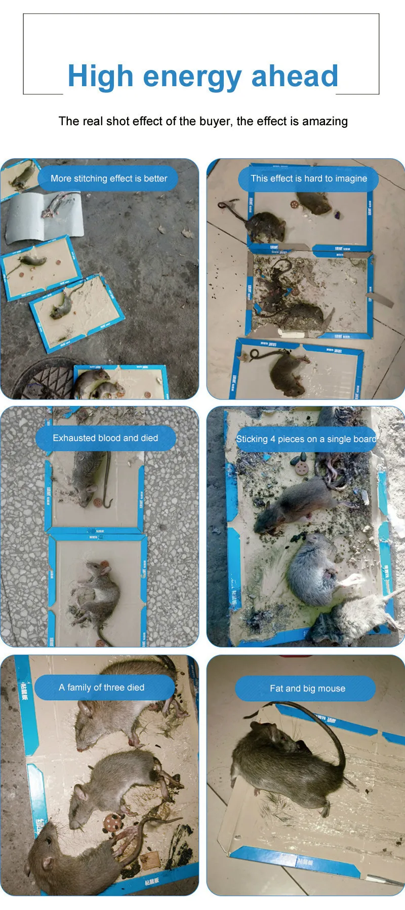Piege Souris мышь ловушка для крыс мышь Ловушка Клей доска липкая мышь ловушка для крыс мышь ловушка отпугиватель грызунов безопасный нетоксичный