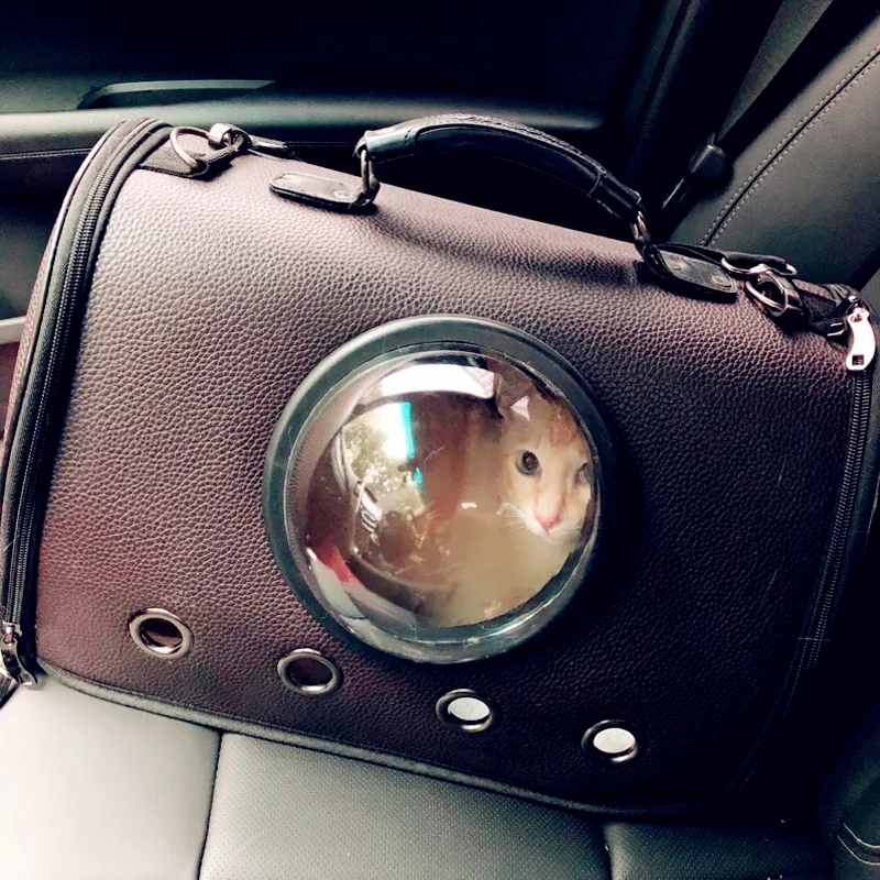 Милый Для женщин сумки в виде котика и транспорта Портативный кошачья клетка