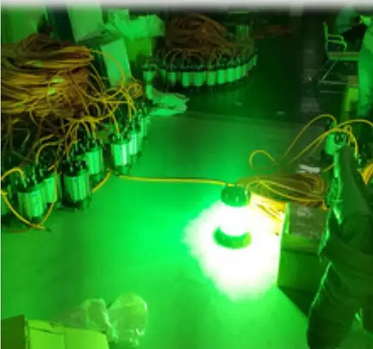 Beste DC12V 600W 5M Kabel Diepe Onderwater Vissen Licht Voor Oceaan Vissen