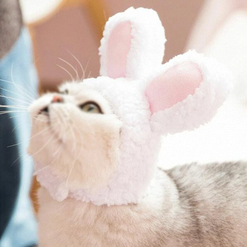 Белая шапка для собак и кошек плюшевая шляпа косплея головной убор маленьких |