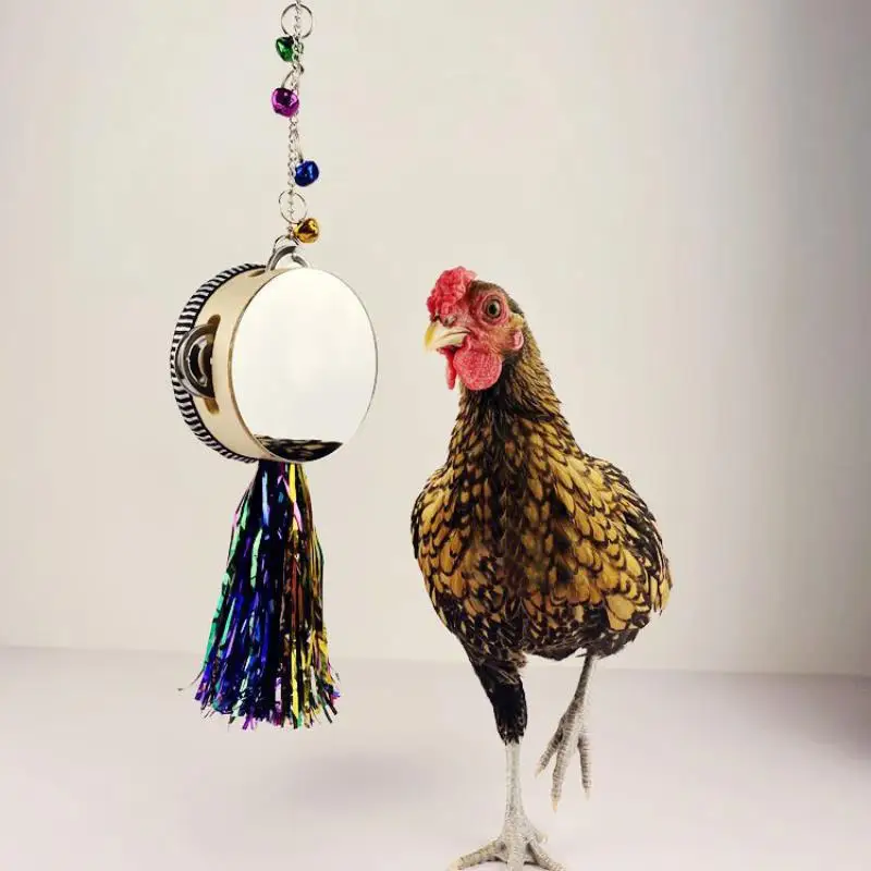 

New 1Pcs Pet Parrot Bird Parakeet Hanging Mirror Drum Play Toy Cage Decoration Interactive Bird Supplies