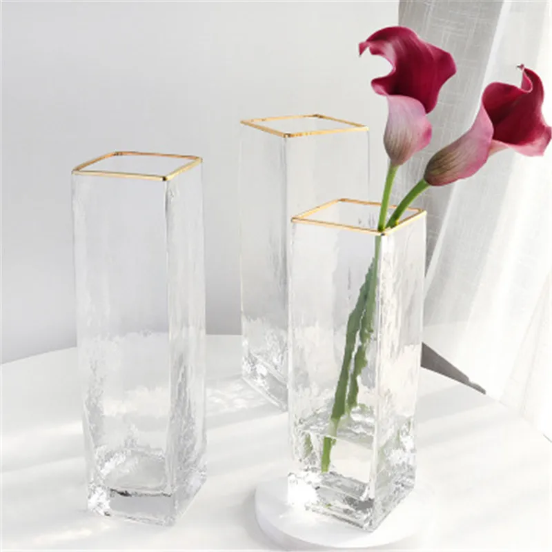 Скандинавское прозрачное стекло ваза для цветов цветочный горшок Настольный