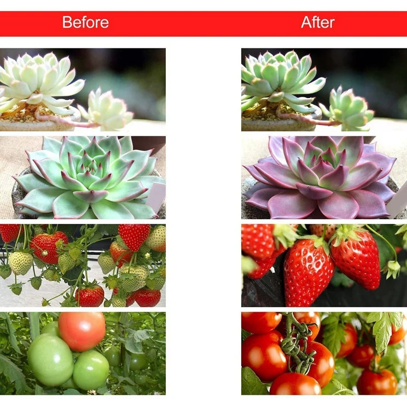 

HOT Used for Indoor Plant Growth Lights 20W Plant Growth Lights with Automatic on / Off Timer 48 LED / 4 Dimmable Levels