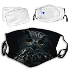 Моющиеся тканевые маски с фильтром, многоразовая маска для взрослых с принтом совы, защитные колпачки для рта, моющиеся маски