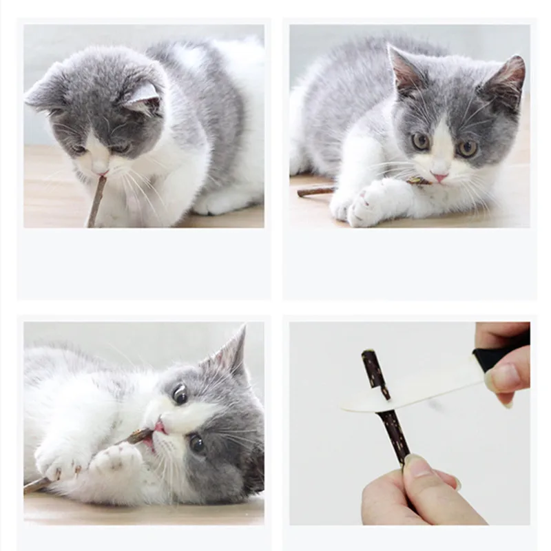 

Pet Cat Toys 10 Pcs Natural Wood Polygonum Stick Cat Caught Bite Excited Rods Catnip Pet Cat Molar Stick Cat Oral Care