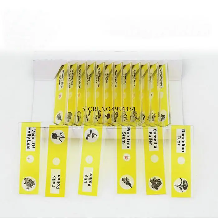 Бесплатная доставка 4 коробки/упаковка/партия пластиковые слайды для микроскопа