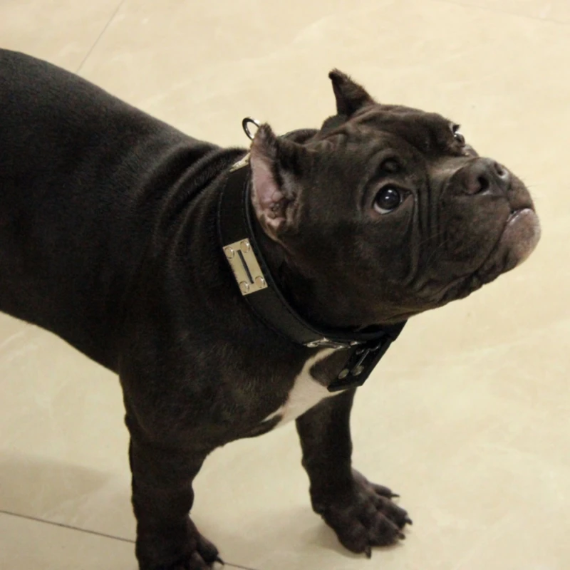 Регулируемый ошейник из натуральной кожи высокого качества | Дом и сад