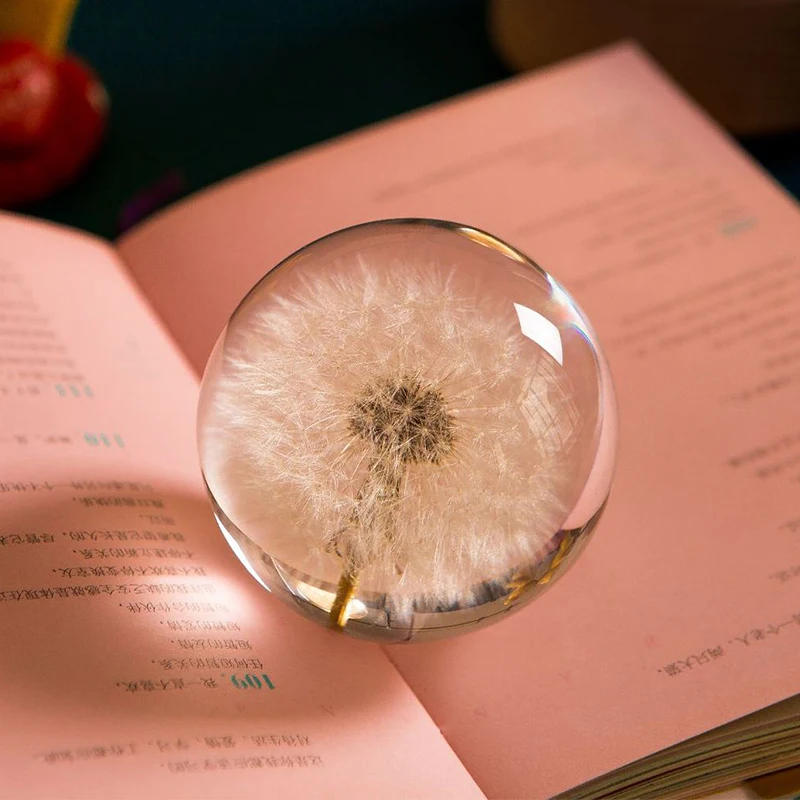 Настоящий Одуванчик хрустальный стеклянный шар из смолы 80 мм натуральные
