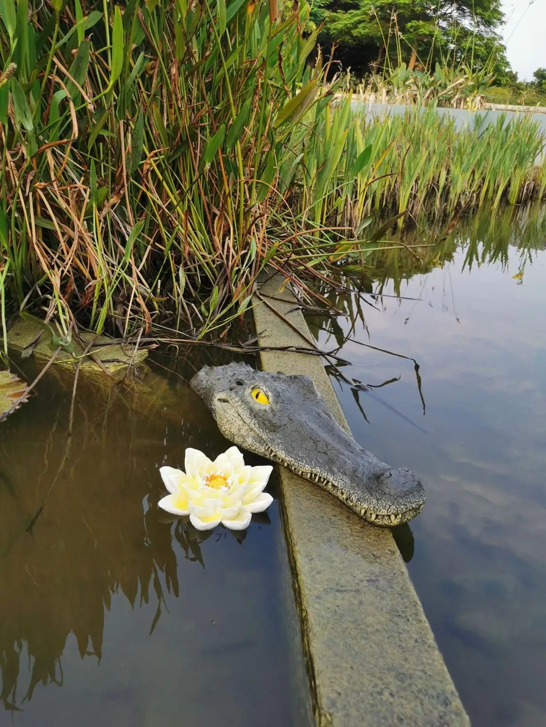 Большой размер плавающая голова крокодила имитация воды голова крокодила садовая приманка или пруд художественный декор для гусиного хищника героя