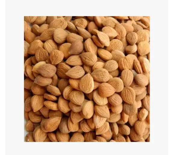 

500g Almond Free Shipping Fresh Bitter Apricot Kernels (with Coatings,organic)