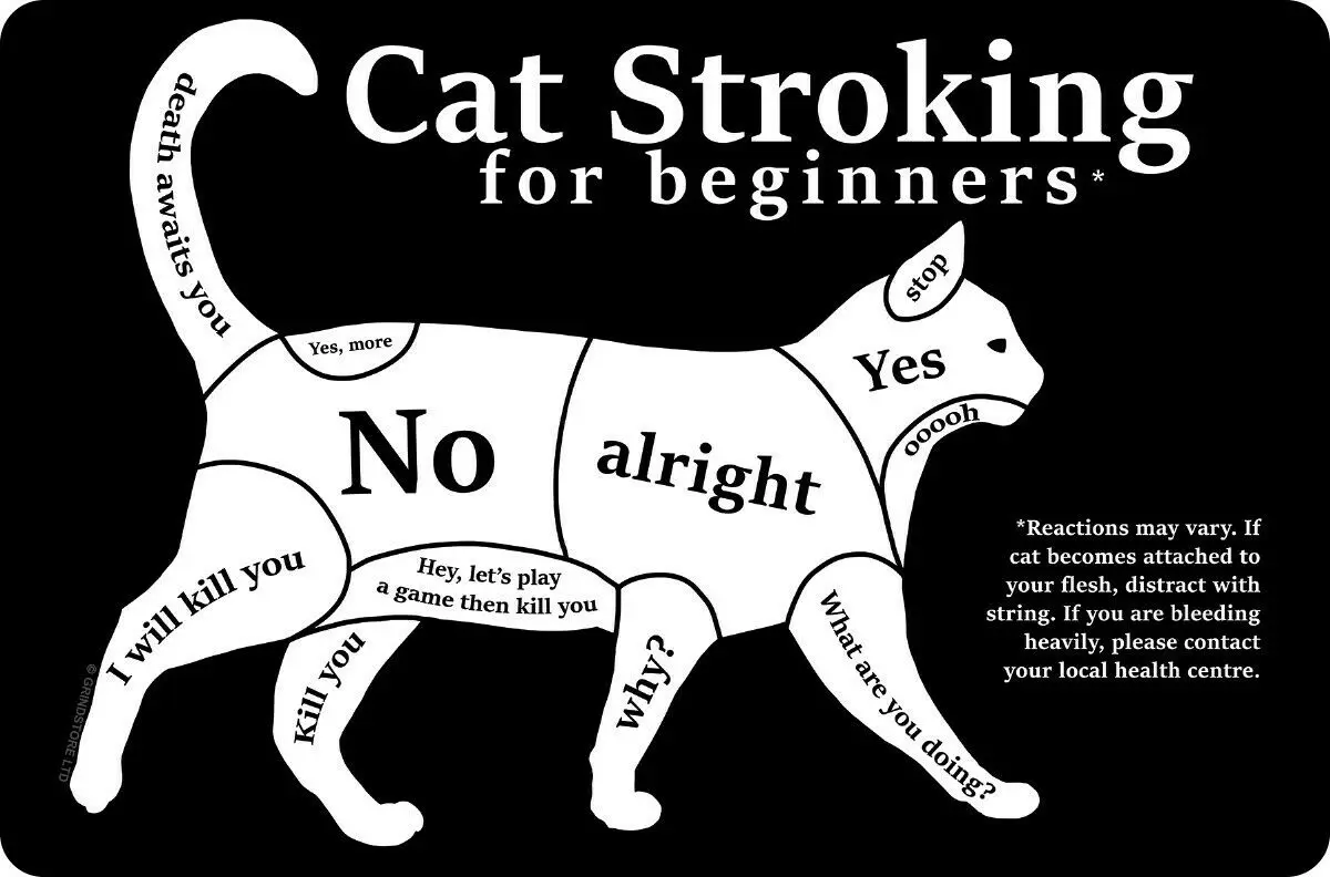 

Tin Sign Cat Stroking For Beginners Black