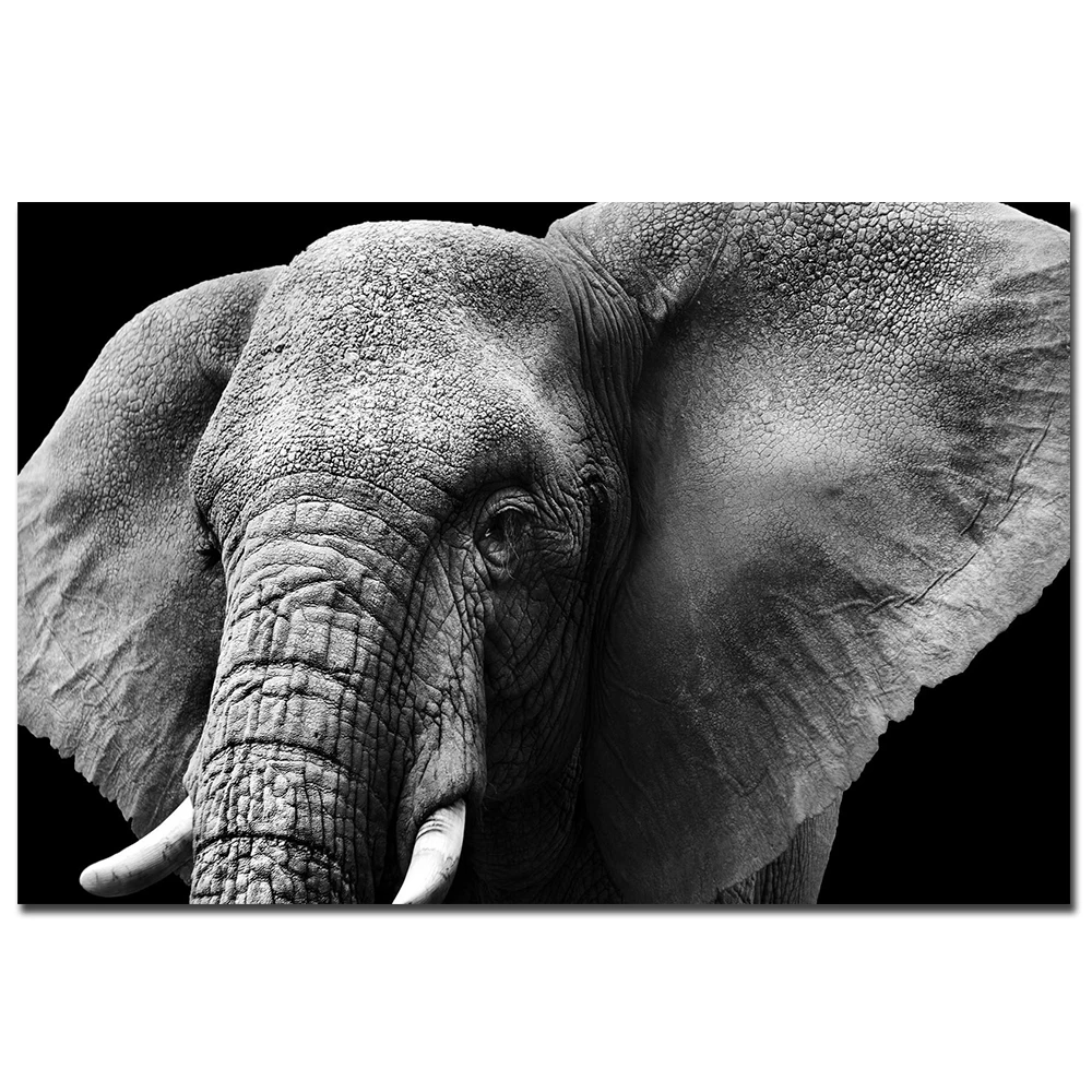 Плакат со слоном собакой Мопсом кошкой тигром черно-белые настенные картины для