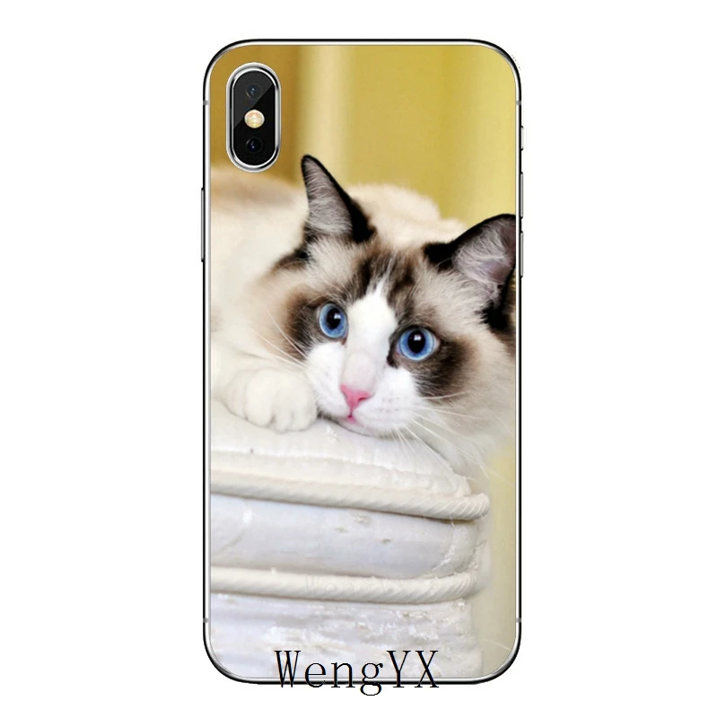 Pet ragdoll кошка синие глаза для huawei mate 20 10 9 P30 P20 P10 P9 pro Lite P Smart plus аксессуары чехол для телефона - Цвет: cat-blue-eyes-B-05