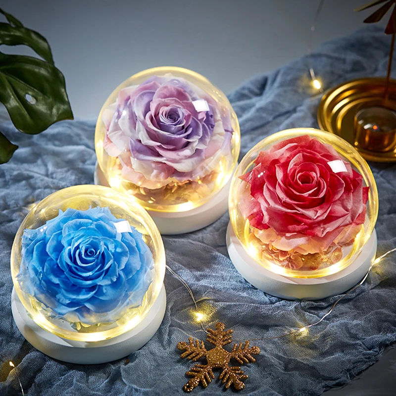 

Newest The Beauty and Beast Rose Eternal Roses in Glass Dome Romantic Valentine's Day Gifts Christmas' Gift Holiday Presents