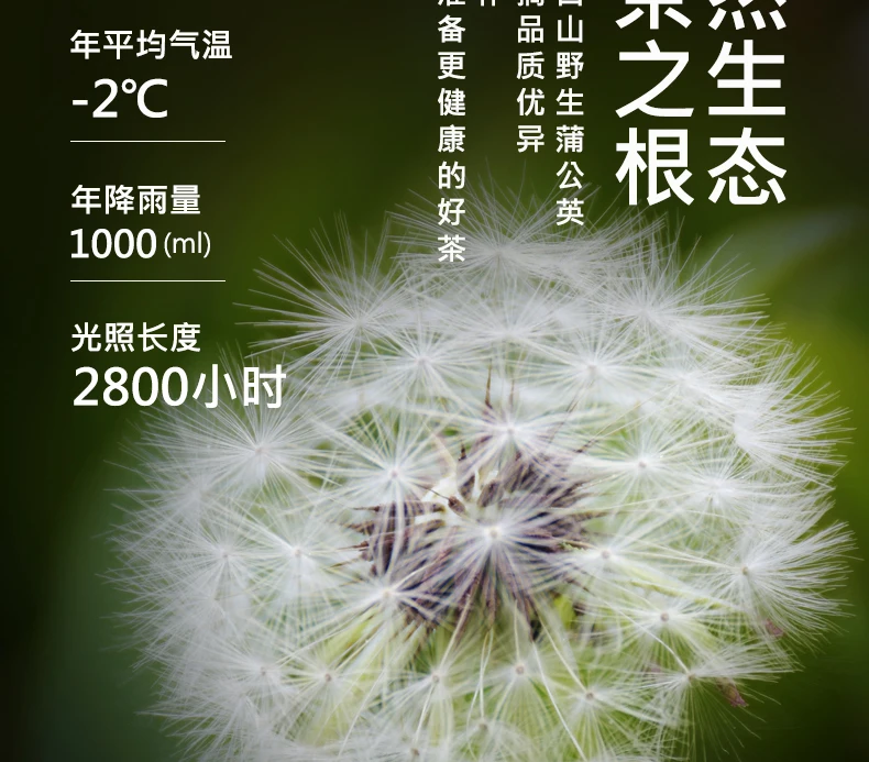 

Dandelion Tea Wild Natural Tea Whole Root Dry Taraxacum Mongolicum Hand.-Mazz. Baekdu Mountain Breast Female Thin Gongying Bulk