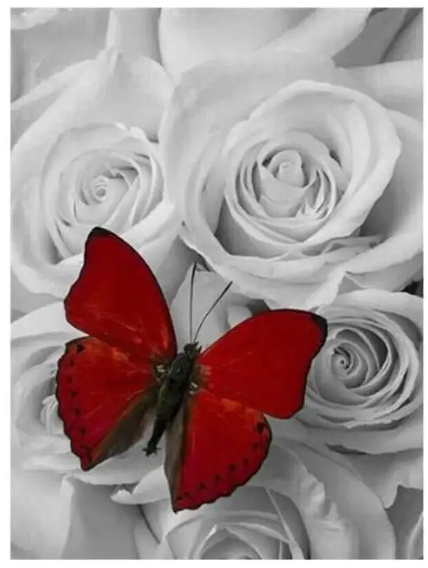 Красная бабочка алмазная краска белая роза вышивка живопись Ремесленная картина
