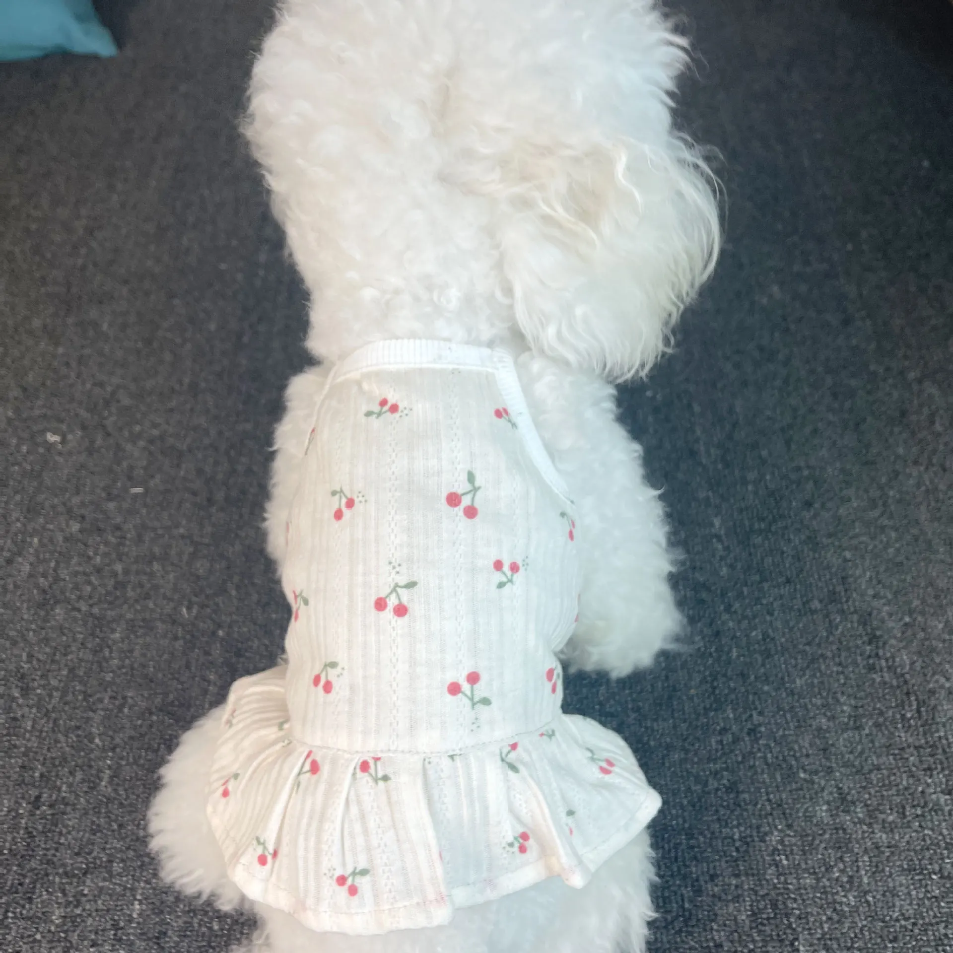 Платье в полоску для собак и кошек |