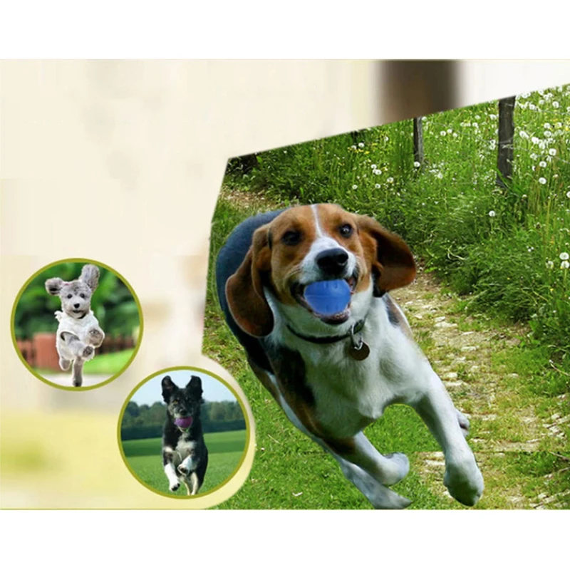 1 шт. зубной нерушимая резиновая резинка для укуса забавный тренировочный шарик