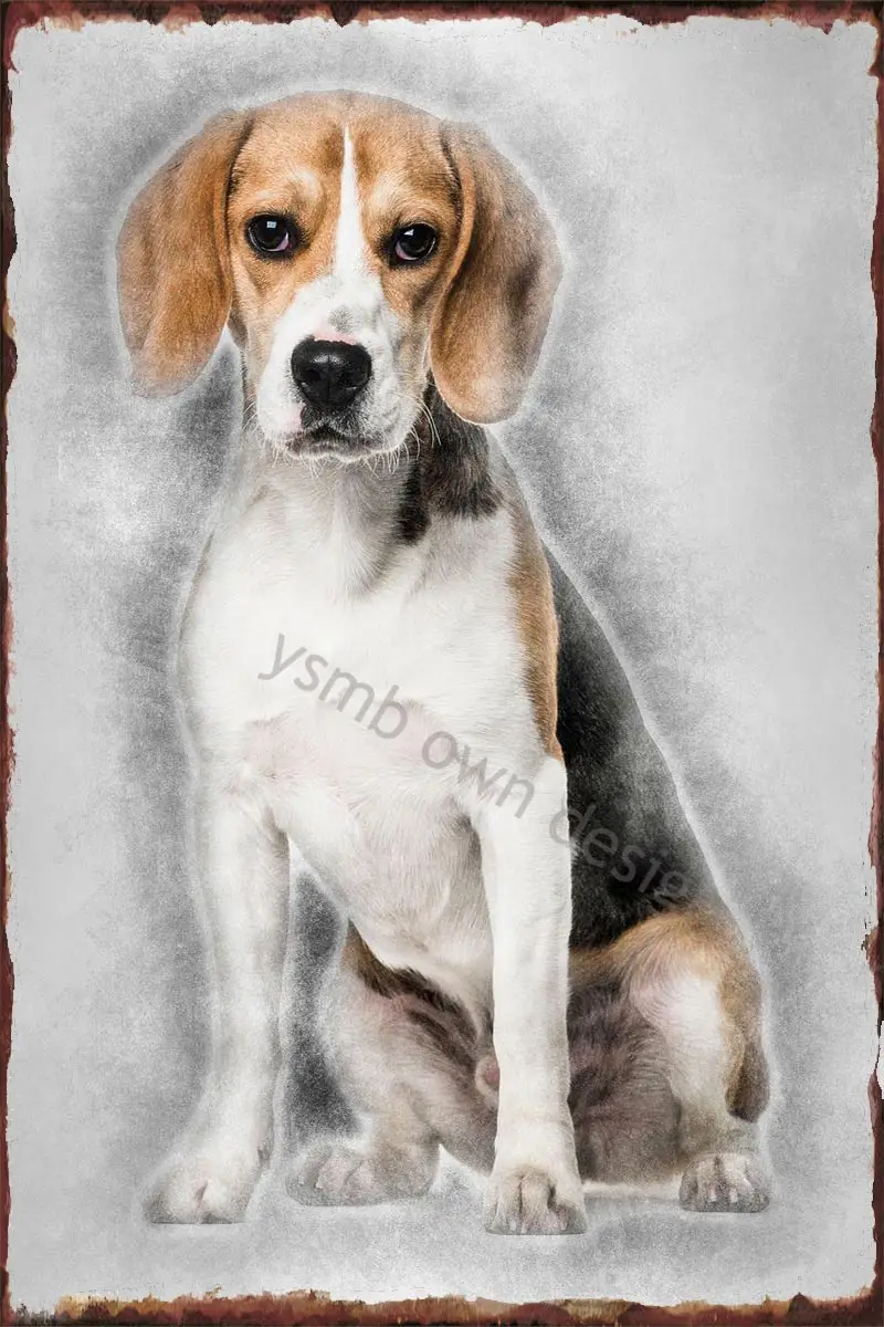 

Beagle Dog In Portrait Aga Retro Vintage Metal Sign Tin Sign Tin Plates Wall Decor For Art Club Man Cave Cafe Pub Home