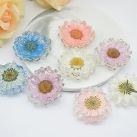 10pcslots chrysanthemum paludosum real dried flower for candle epoxy resin pendant necklace jewelry making craft diy accessori