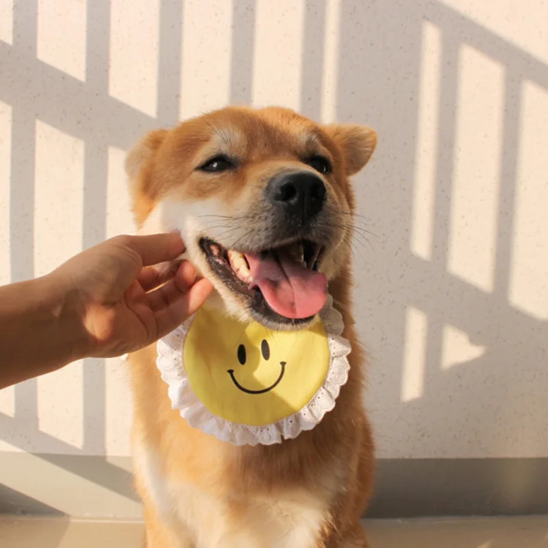 

ins Korea Cute Dog Lace Smiley Bib Pet Saliva Towel Bichon Teddy Hiromi Bib Cat dog