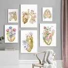 Плакат анатомический орган настенные картины, плакаты и принты цветочного органа, Настенная картина, украшение для медицинской комнаты