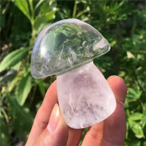 

1pcs Natural transparent quartz hand-carved mushroom quartz crystal skull reiki treatment