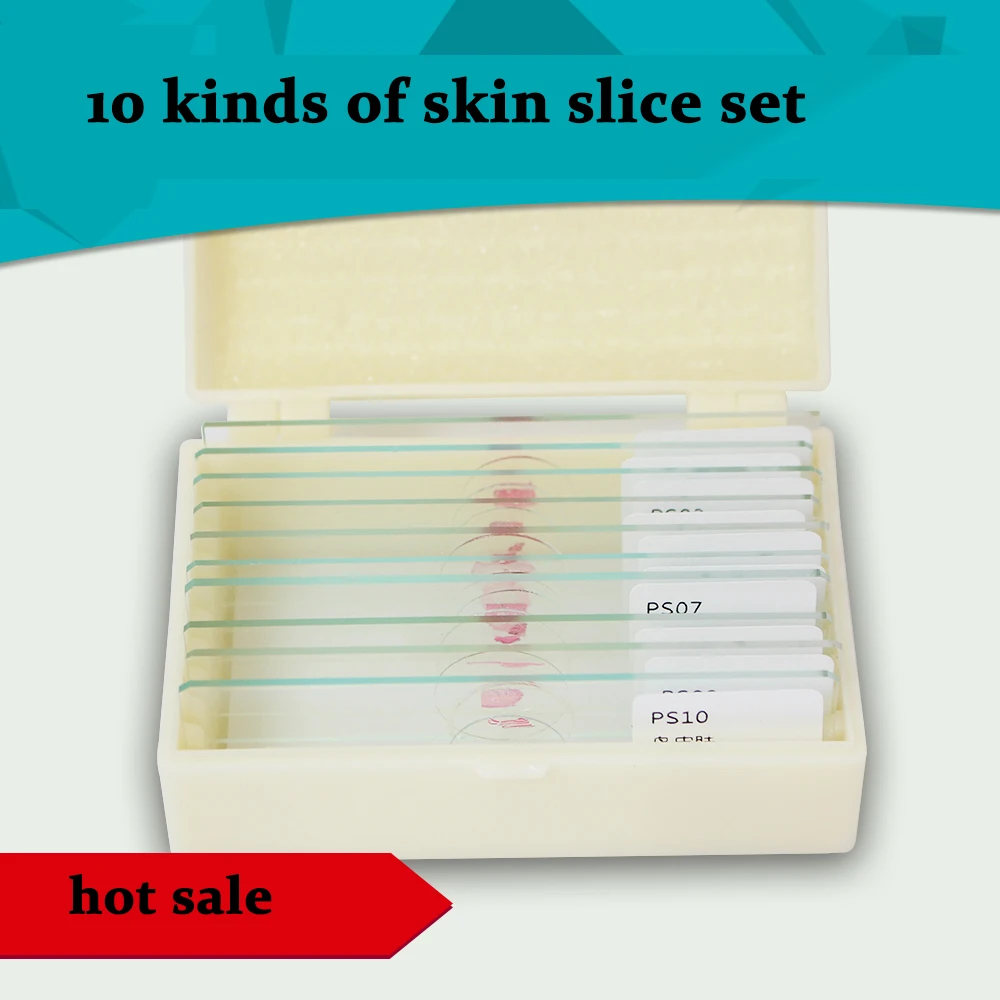 10 шт. микроскоп набор разделов для кожи биологический образец демонстрация