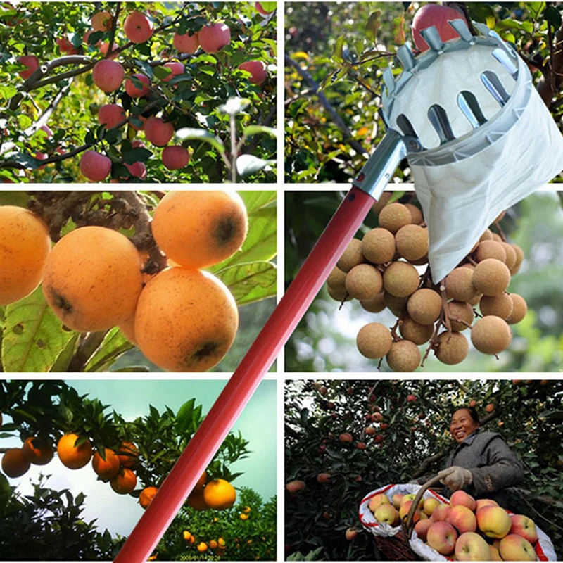 

Fruit Picker Head Basket Portable Fruits Catcher For Harvest Picking Citrus Pear Collector Catcher Peach Picking Garden Tool
