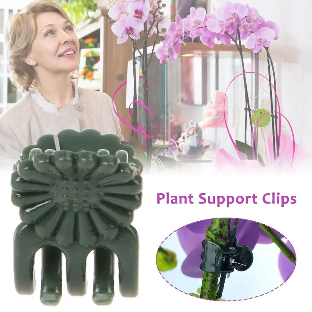 

Plastic Garden Clip Special Clip For Phalaenopsis Graft Plant Vine Clip Orchid Stem Vine Support Bundle Garden Tool 50pcs New