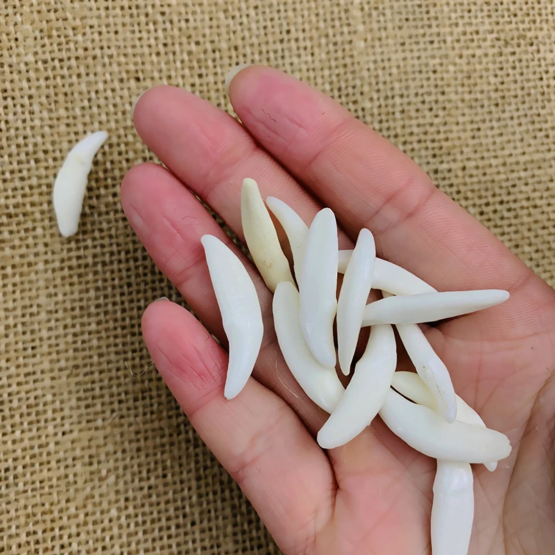 Подвеска-Клык в виде тибетского животного подвеска амулет | Украшения и