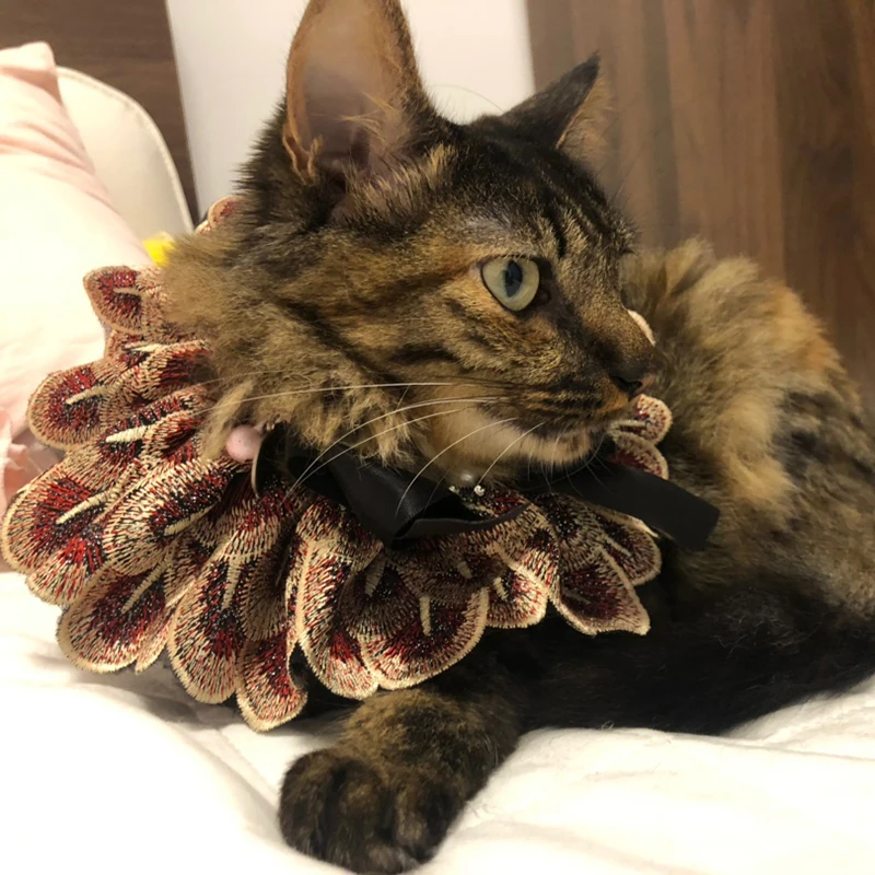 Аксессуары для домашних животных ошейник ручной работы маленьких собак собачий