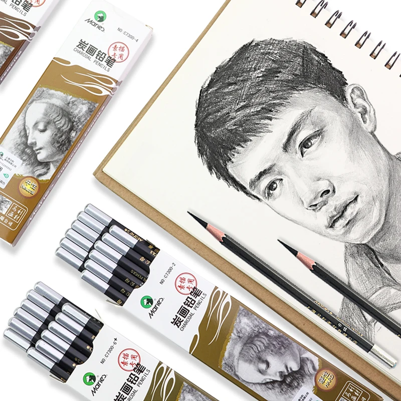 12pcs Soft/medium/hard/extra-soft Charcoal Pens Painting Art Supplies