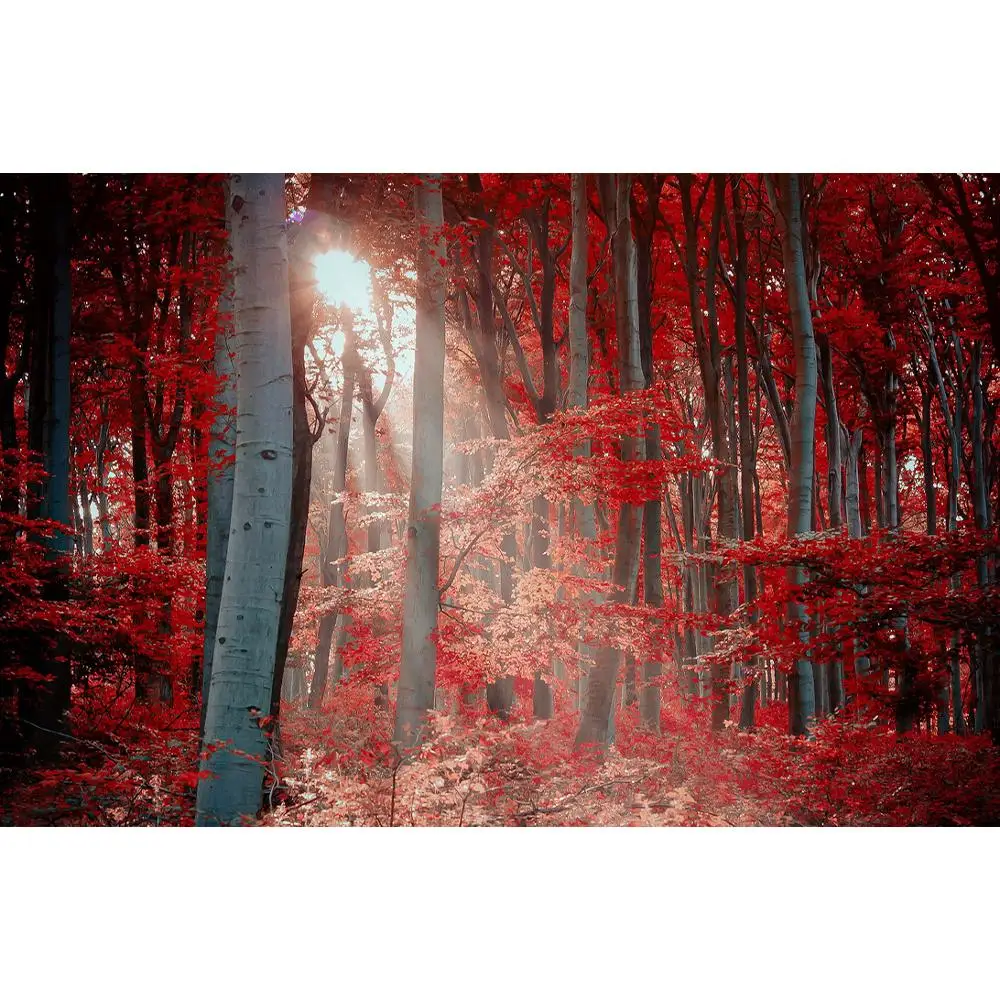 

SHENGYONGBAO Vinyl Custom Photography Backdrops Prop Light landscape Theme Photography Background 200309HV-011