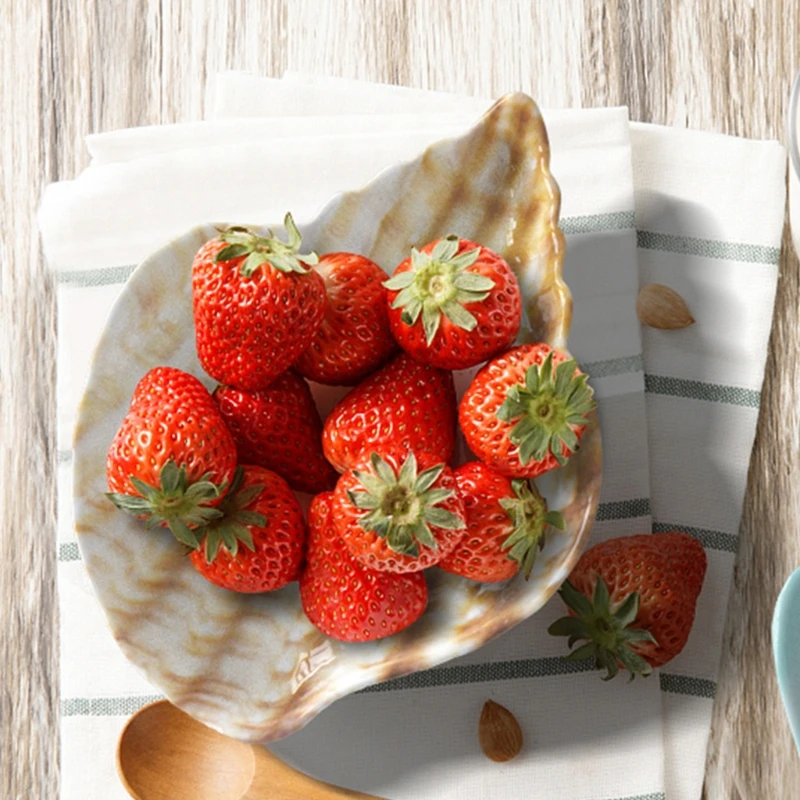 

Conch Shell Storage Box Epoxy Resin Mold Jewelry Holder Casting Silicone Mould DIY Crafts Ornaments Home Decoration Making Tools