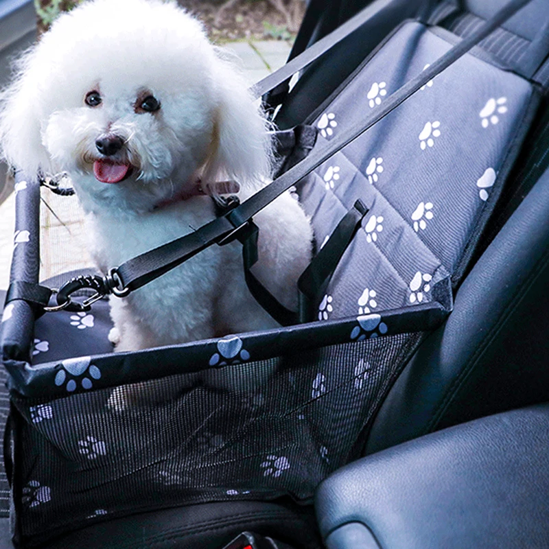 

Pet Products