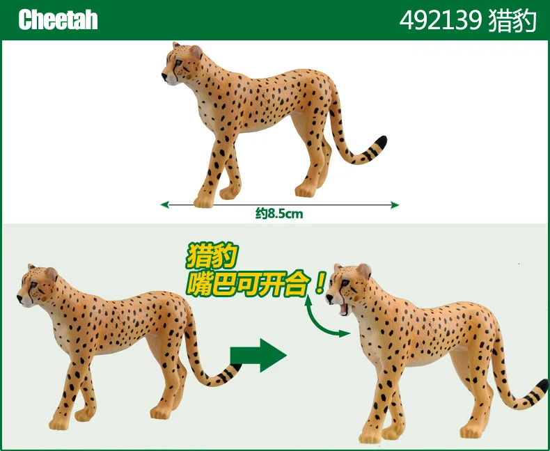 

Takara Tomy Tomica Ania Animal Adventure Cheetah Figure Model Kit As-13 492139 Diecast Resin Baby Toys Funny Magic Kids Bauble